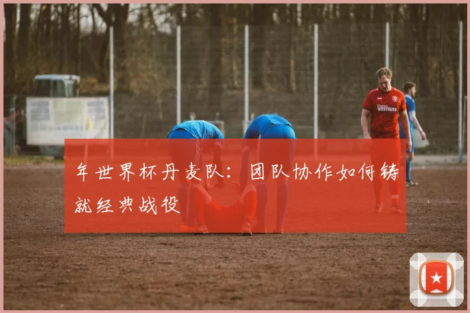 年世界杯丹麦队：团队协作如何铸就经典战役