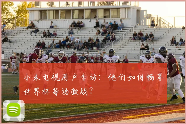 小米电视用户专访：他们如何畅享世界杯每场激战？