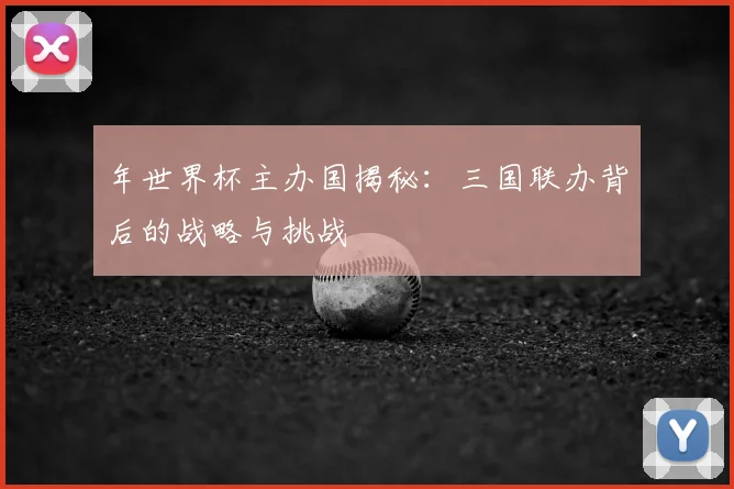 年世界杯主办国揭秘：三国联办背后的战略与挑战
