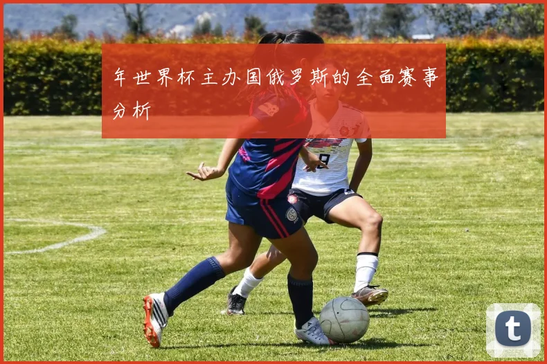 年世界杯主办国俄罗斯的全面赛事分析